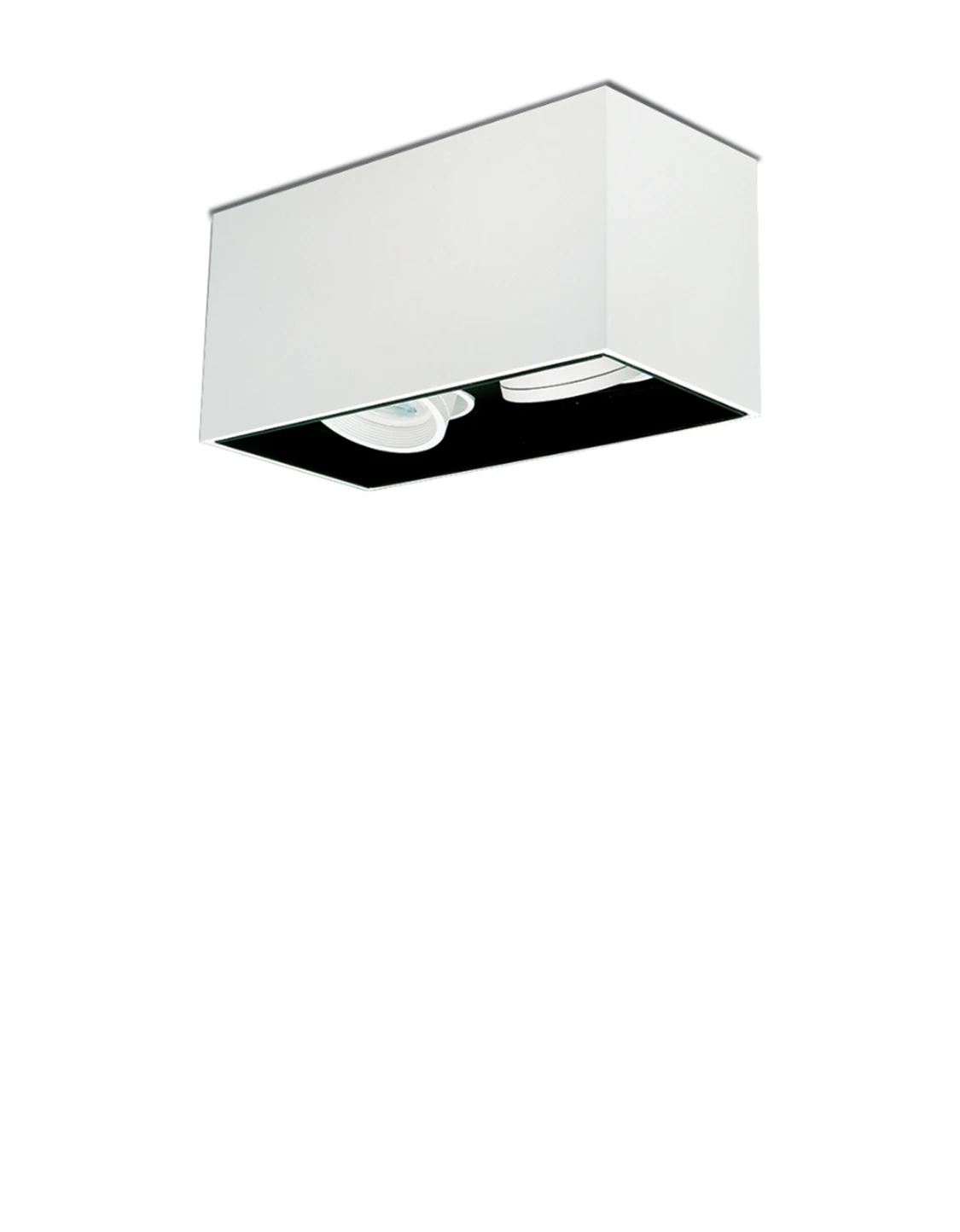 Spazio Lone tilt 2 light downlight